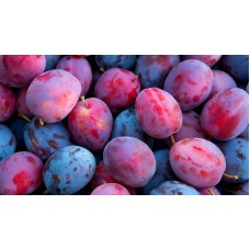 SIN FRUITS PRUNE PLUM 500G