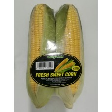 DAILY FRESH SWEET CORN 2'S 大玉米