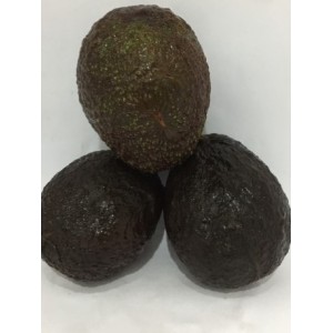 AVOCADO (BIJI) 鳄梨 粒