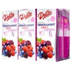 DELITE SLIM BLACKCURRANT & MIX BERRIES *LESS SUGAR 6X250ML 黑加伦与莓果