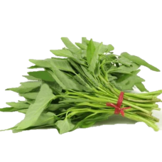 S2G KANGKONG 应菜 400G+/- PEK