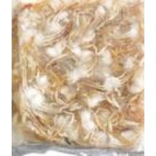 BABY CRAB 1KG+-