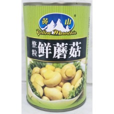 TM WHOLE MUSHROOMS 425G 天马牌整蘑菇