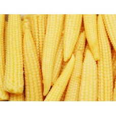 BEE YOUNG CORN 425G 小玉米