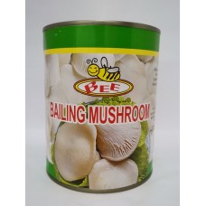 BEE BAILING MUSHROOM 850G 白灵菇